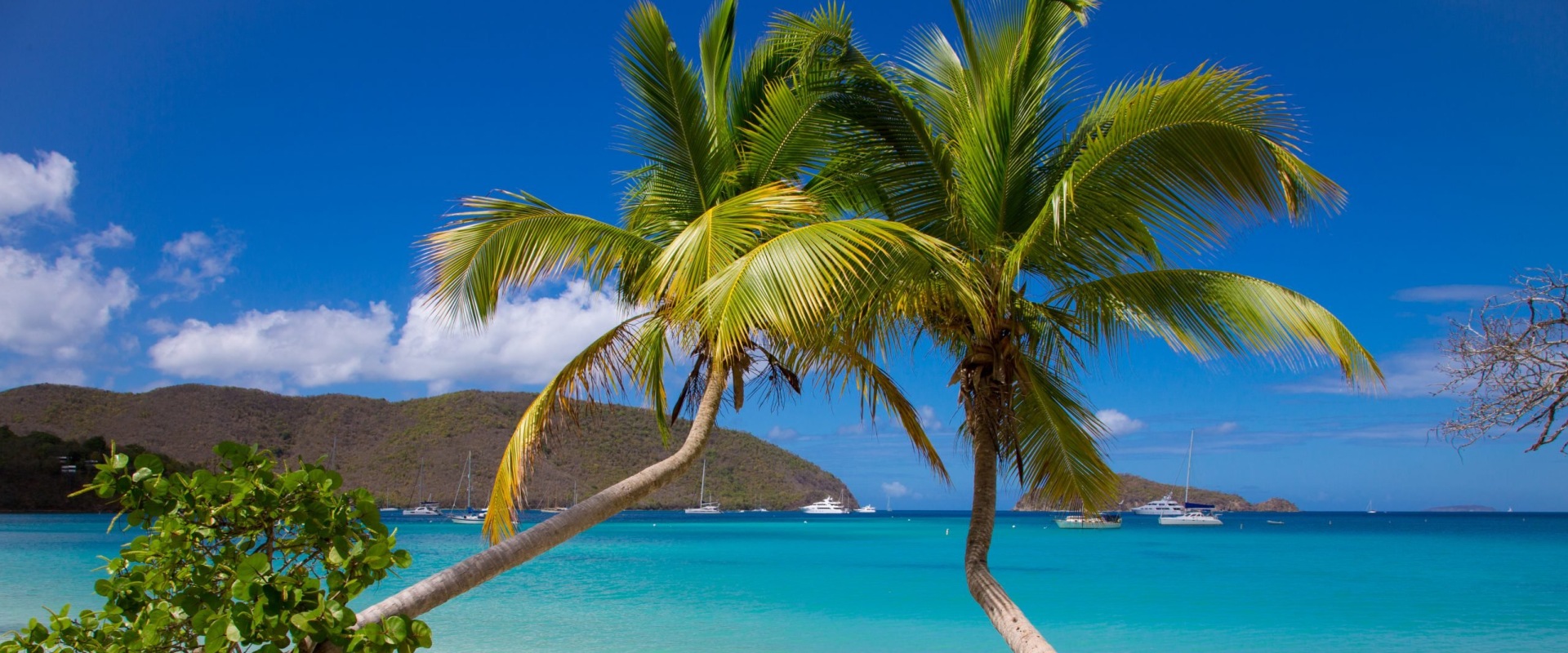 which-island-has-the-best-beaches-in-the-us-virgin-islands